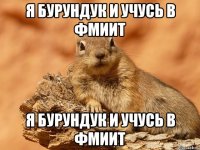я бурундук и учусь в фмиит я бурундук и учусь в фмиит