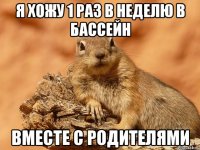 я хожу 1 раз в неделю в бассейн вместе с родителями