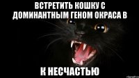 встретить кошку с доминантным геном окраса b к несчастью