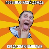 посылаю нахуй дождь когда жарю шашлык