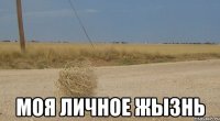  моя личное жызнь