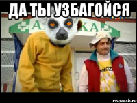 да ты узбагойся 