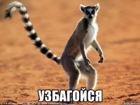  узбагойся