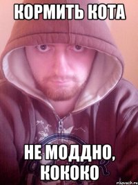 кормить кота не моддно, кококо