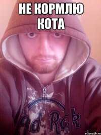 не кормлю кота 