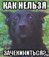 как нельзя зачекиниться?