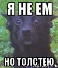 я не ем но толстею