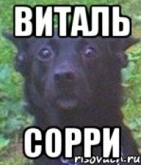 виталь сорри