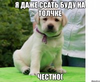 я даже ссать буду на толчке честно(
