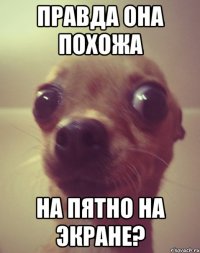 правда она похожа на пятно на экране?