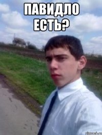 павидло есть? 