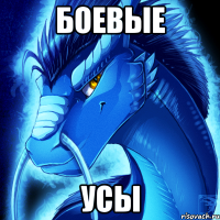 боевые усы