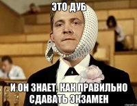 это дуб и он знает, как правильно сдавать экзамен
