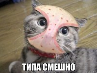  типа смешно