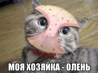  моя хозяйка - олень