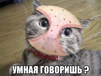  умная говоришь ?