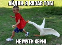 айдин, я казав тобі не мути херні