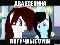 два есенина лиричные суки