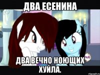 два есенина два вечно ноющих хуйла.
