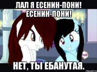 лал я есенин-пони! есенин-пони! нет, ты ебанутая.