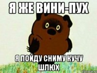 я же вини-пух я пойду сниму кучу шлюх