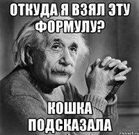 откуда я взял эту формулу? кошка подсказала