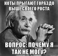 коты прыгают гораздо выше своего роста вопрос: почему я так не могу?