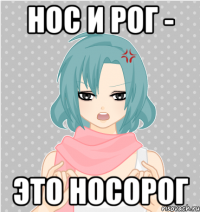 нос и рог - это носорог