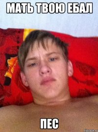 мать твою ебал пес