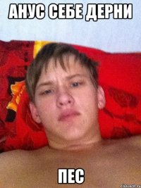 анус себе дерни пес