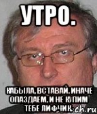 утро. кабыла, вставай. иначе опаздаем, и не купим тебе лифчик.