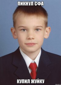 пикнул сфа купил жуйку