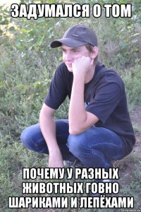 задумался о том почему у разных животных говно шариками и лепёхами