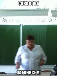 соколова заткнись!!!