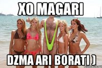 xo magari dzma ari borati )