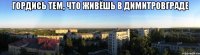 гордись тем, что живёшь в димитровграде 
