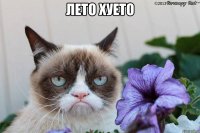 лето хуето 