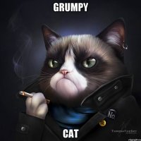 grumpy cat