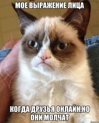 мое выражение лица когда друзья онлайн,но они молчат