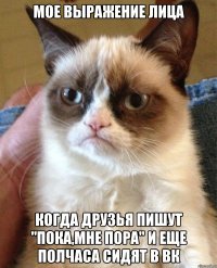 мое выражение лица когда друзья пишут "пока,мне пора" и еще полчаса сидят в вк