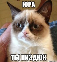 юра ты пиздюк