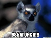  узбагойся!!!