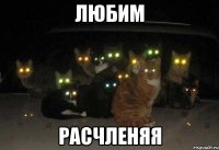 любим расчленяя