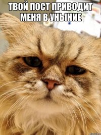 твой пост приводит меня в уныние 