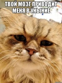 твой мозг приводит меня в уныние 