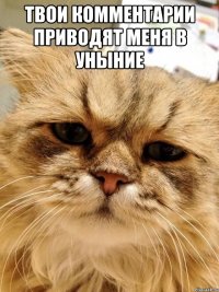 твои комментарии приводят меня в уныние 