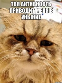 твя активность приводит меня в уныние 