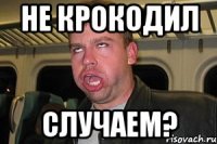 не крокодил случаем?