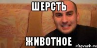 шерсть животное