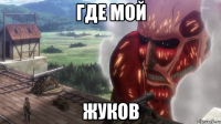 где мой жуков